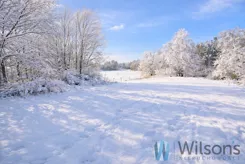 WIL451291 - zdjęcie nr 1