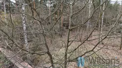WIL815803 - zdjęcie nr 0
