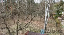 WIL815803 - zdjęcie nr 4