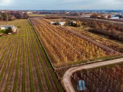 WIL958421 - zdjęcie nr 3
