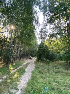 WIL743335 - zdjęcie nr 0
