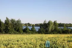 WIL321647 - zdjęcie nr 1
