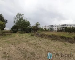 WIL356693 - zdjęcie nr 0