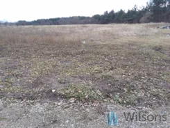 WIL144557 - zdjęcie nr 4