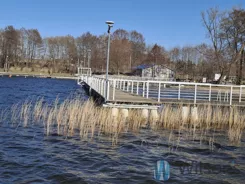 WIL323255 - zdjęcie nr 4