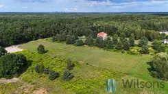 WIL183909 - zdjęcie nr 4