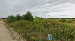 WIL752051 - zdjęcie nr 0