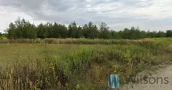 WIL752051 - zdjęcie nr 1