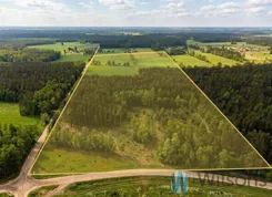 WIL783341 - zdjęcie nr 3
