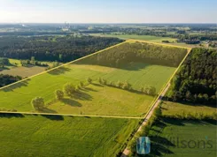 WIL783341 - zdjęcie nr 4