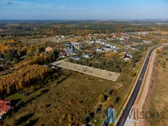 WIL938735 - zdjęcie nr 1