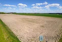 WIL384003 - zdjęcie nr 2