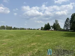 WIL914826 - zdjęcie nr 4