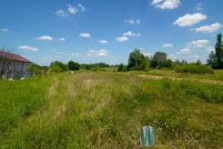 WIL525085 - zdjęcie nr 3
