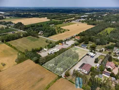 WIL113792 - zdjęcie nr 2