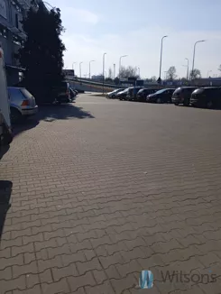 WIL611442 - zdjęcie nr 3