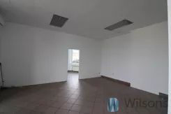 WIL283254 - zdjęcie nr 2