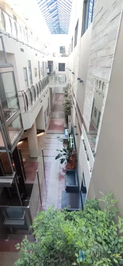 WIL226636 - zdjęcie nr 0