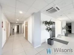 WIL821205 - zdjęcie nr 3
