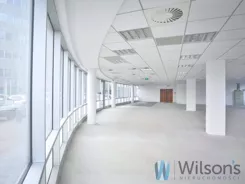 WIL907549 - zdjęcie nr 0