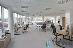 WIL907549 - zdjęcie nr 2