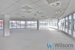 WIL907549 - zdjęcie nr 3