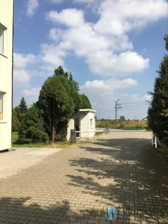 WIL784546 - zdjęcie nr 1