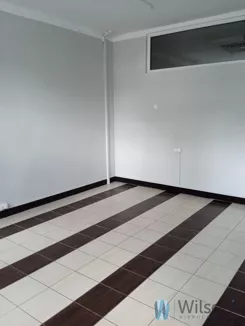 WIL266931 - zdjęcie nr 0