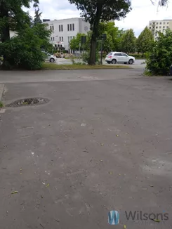 WIL266931 - zdjęcie nr 2