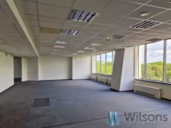WIL341892 - zdjęcie nr 4