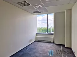 WIL610741 - zdjęcie nr 3