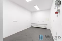 WIL807184 - zdjęcie nr 4