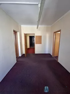 WIL897962 - zdjęcie nr 3