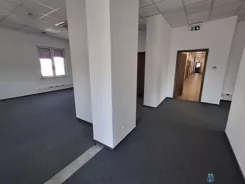 WIL488245 - zdjęcie nr 0