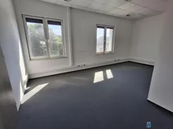 WIL488245 - zdjęcie nr 2