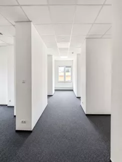 WIL353374 - zdjęcie nr 2