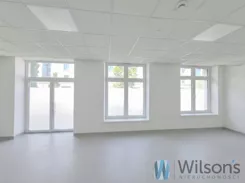 WIL654583 - zdjęcie nr 1