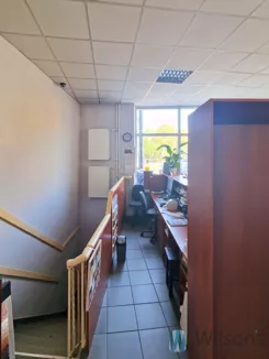 WIL895545 - zdjęcie nr 2
