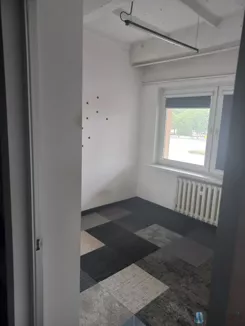 WIL314866 - zdjęcie nr 1