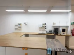 WIL312629 - zdjęcie nr 4