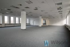 WIL496108 - zdjęcie nr 2