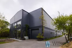 WIL505057 - zdjęcie nr 0