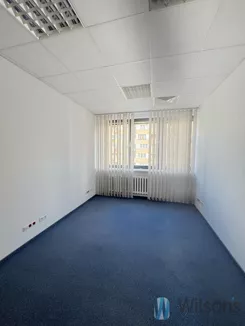 WIL922872 - zdjęcie nr 1
