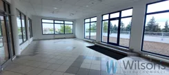 WIL848692 - zdjęcie nr 4