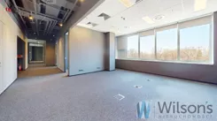 WIL394450 - zdjęcie nr 2