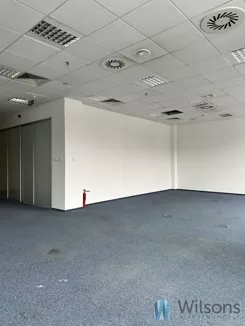 WIL428991 - zdjęcie nr 4