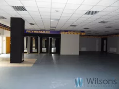 WIL958345 - zdjęcie nr 4