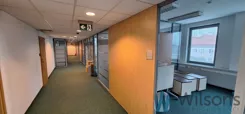 WIL932377 - zdjęcie nr 0