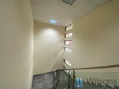WIL588635 - zdjęcie nr 2