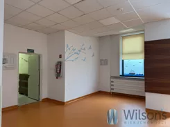 WIL373197 - zdjęcie nr 3